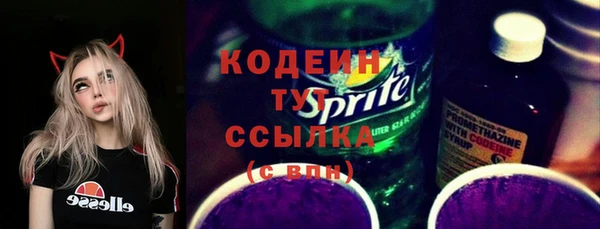 2c-b Горно-Алтайск