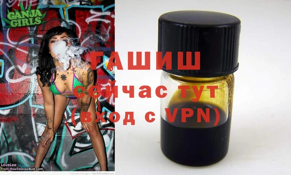 2c-b Горно-Алтайск