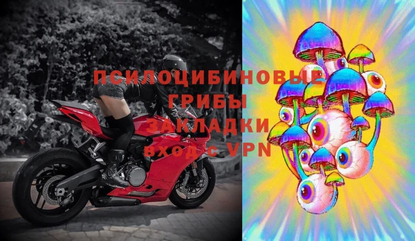 мяу мяу мука Горняк