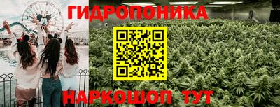 амф Волжский