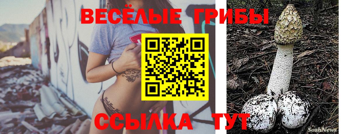 Меф Десногорск