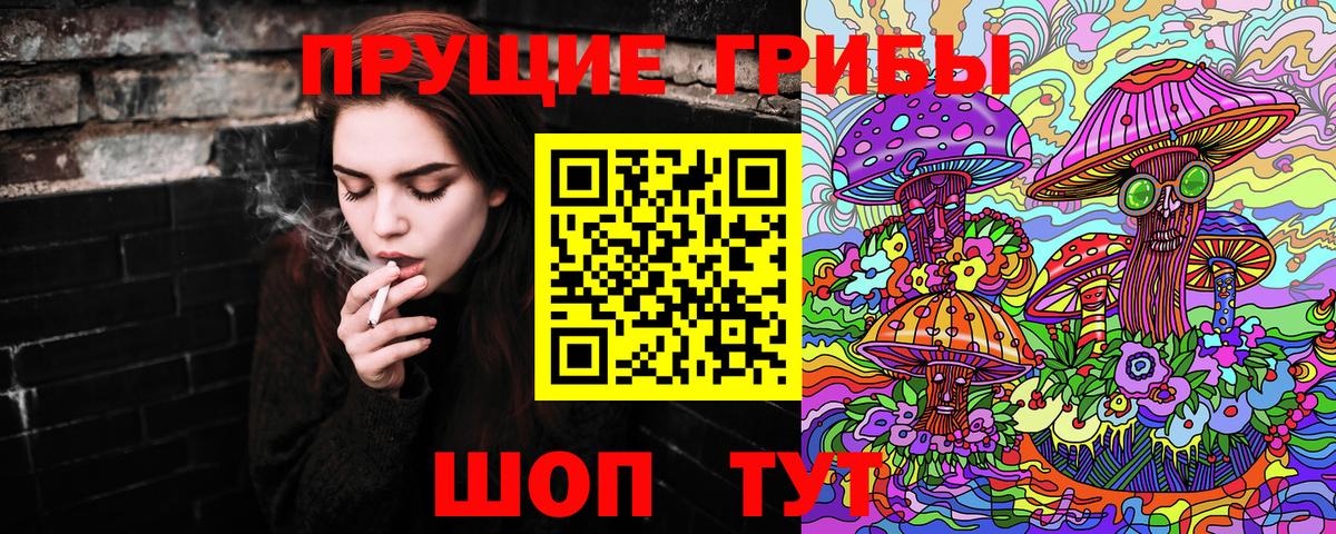 Псилоцибиновые грибы Psilocybe  Вход с VPN  Десногорск 