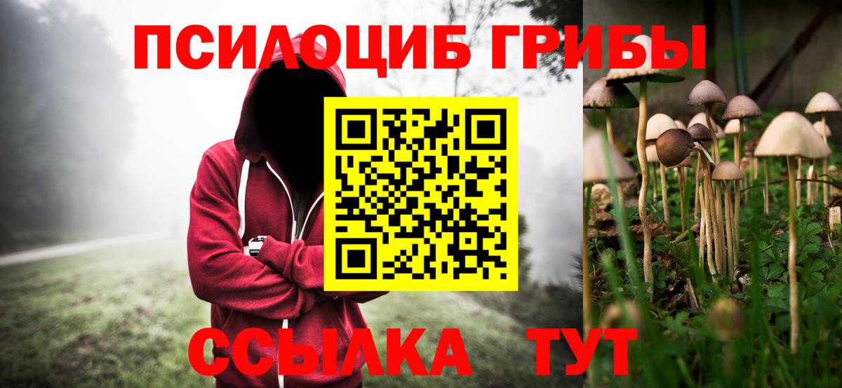 Псилоцибиновые грибы Psilocybine cubensis Десногорск